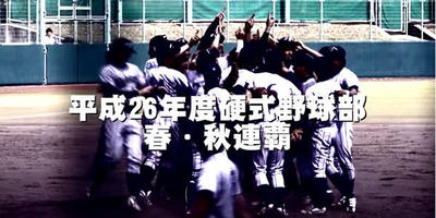 2015年度活動の記録